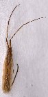  ( - EUBUG_1220_m_Megarect5)  @11 [ ] Unspecified (default): All Rights Reserved  Unspecified Unspecified