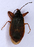  ( - EUBUG_514_m_Gastabie6)  @12 [ ] Unspecified (default): All Rights Reserved  Unspecified Unspecified