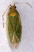  ( - EUBUG_533_f_Orthmarg1)  @13 [ ] Unspecified (default): All Rights Reserved  Unspecified Unspecified