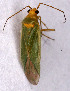  ( - EUBUG_536_m_Orthmarg4)  @13 [ ] Unspecified (default): All Rights Reserved  Unspecified Unspecified
