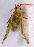  ( - EUBUG_537_m_Orthmarg5)  @13 [ ] Unspecified (default): All Rights Reserved  Unspecified Unspecified