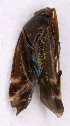  ( - EUBUG_542_m_Criocras2)  @12 [ ] Unspecified (default): All Rights Reserved  Unspecified Unspecified
