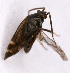  ( - EUBUG_543_m_Criocras3)  @12 [ ] Unspecified (default): All Rights Reserved  Unspecified Unspecified
