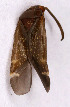  ( - EUBUG_545_m_Criocras5)  @13 [ ] Unspecified (default): All Rights Reserved  Unspecified Unspecified