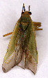  ( - EUBUG_561_m_Orthinte2)  @13 [ ] Unspecified (default): All Rights Reserved  Unspecified Unspecified
