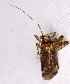  ( - EUBUG_796_f_Phytdimi2)  @12 [ ] Unspecified (default): All Rights Reserved  Unspecified Unspecified