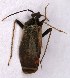  ( - EUBUG_930_m_Adelseti5)  @14 [ ] Unspecified (default): All Rights Reserved  Unspecified Unspecified