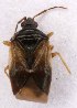  ( - EUBUG_980_m_Oriumaju2)  @11 [ ] Unspecified (default): All Rights Reserved  Unspecified Unspecified