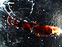  ( - DZMB_Carabidae_0348)  @12 [ ] CreativeCommons - Attribution Share-Alike (2016) Michael Raupach DZMB / Senckenberg am Meer