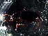  ( - DZMB_Carabidae_0435)  @12 [ ] CreativeCommons - Attribution Non-Commercial Share-Alike (2016) Michael Raupach DZMB / Senckenberg am Meer