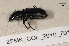  ( - ZFMK_COL_2010_791)  @12 [ ] CreativeCommons - Attribution Non-Commercial Share-Alike (2011) Armin Rose ZFMK
