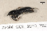  ( - ZFMK_COL_2010_792)  @12 [ ] CreativeCommons - Attribution Non-Commercial Share-Alike (2011) Armin Rose ZFMK
