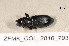  ( - ZFMK_COL_2010_793)  @12 [ ] CreativeCommons - Attribution Non-Commercial Share-Alike (2011) Armin Rose ZFMK