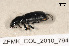  ( - ZFMK_COL_2010_794)  @12 [ ] CreativeCommons - Attribution Non-Commercial Share-Alike (2011) Armin Rose ZFMK