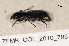  ( - ZFMK_COL_2010_795)  @12 [ ] CreativeCommons - Attribution Non-Commercial Share-Alike (2011) Armin Rose ZFMK