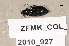  ( - ZFMK_COL_2010_927)  @11 [ ] CreativeCommons - Attribution Non-Commercial Share-Alike (2011) Armin Rose ZFMK
