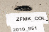  ( - ZFMK_COL_2010_951)  @12 [ ] CreativeCommons - Attribution Non-Commercial Share-Alike (2011) Armin Rose ZFMK