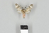  ( - DR17_ArcPa110)  @11 [ ] CreativeCommons - Attribution Non-Commercial Share-Alike (2018) Dominik Rabl Dept of Botany and Biodiversity Research