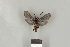 ( - DR14_0137)  @11 [ ] CreativeCommons - Attribution Non-Commercial Share-Alike (2017) Dominik Rabl Dept of Botany and Biodiversity Research