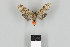  ( - DR14_0235)  @11 [ ] CreativeCommons - Attribution Non-Commercial Share-Alike (2018) Dominik Rabl Dept of Botany and Biodiversity Research