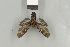  ( - DR14_0254)  @11 [ ] CreativeCommons  Attribution Non-Commercial Share-Alike (2017) Dominik Rabl Dept of Botany and Biodiversity Research