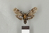  ( - DR14_0257)  @11 [ ] CreativeCommons - Attribution Non-Commercial Share-Alike (2017) Dominik Rabl Dept of Botany and Biodiversity Research