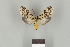  ( - DR14_0283)  @11 [ ] CreativeCommons - Attribution Non-Commercial Share-Alike (2017) Dominik Rabl Dept of Botany and Biodiversity Research