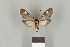  ( - DR14_0283)  @11 [ ] CreativeCommons - Attribution Non-Commercial Share-Alike (2017) Dominik Rabl Dept of Botany and Biodiversity Research