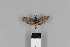  ( - ECU07_011)  @11 [ ] CreativeCommons - Attribution Non-Commercial Share-Alike (2018) Martina Wieser Dept of Botany and Biodiversity Research