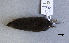  ( - IBUNAM49345)  @11 [ ] Unspecified (default): All Rights Reserved  Unspecified Unspecified