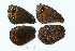  ( - RVcoll.14-J996)  @12 [ ] CreativeCommons - Attribution Non-Commercial (2015) Marko Mutanen University of Oulu