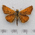  ( - RVcoll.14-O283)  @14 [ ] Copyright (2015) Martin Gascoigne-Pees Unspecified