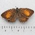  ( - RVcoll.14-U853)  @13 [ ] Copyright (2015) Martin Gascoigne-Pees Unspecified