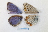  ( - RVcoll.14-V335)  @12 [ ] CreativeCommons - Attribution Non-Commercial (2015) Marko Mutanen University of Oulu