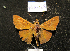  ( - RVcoll.14-N488)  @13 [ ] Copyright (2015) Hristos Anastassiu Unspecified