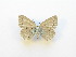  ( - RVcoll.14-O389)  @11 [ ] Copyright (2015) Gergely Katona Hungarian Natural History Museum