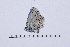  ( - RVcoll16J875)  @12 [ ] Copyright (2017) Vlad Dinca Unspecified