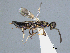  ( - FAFUBCRI_661)  @11 [ ] Unspecified (default): All Rights Reserved  Unspecified Unspecified