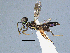  ( - FAFUBCRI_668)  @11 [ ] Unspecified (default): All Rights Reserved  Unspecified Unspecified