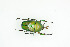 ( - BC-TB9045)  @11 [ ] Copyright (2012) Thierry Bouyer Research Collection of Thierry Bouyer
