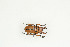  ( - BC-TB9119)  @13 [ ] Copyright (2012) Thierry Bouyer Research Collection of Thierry Bouyer