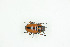  ( - BC-TB9127)  @13 [ ] Copyright (2012) Thierry Bouyer Research Collection of Thierry Bouyer