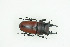  ( - BC-TB9135)  @13 [ ] Copyright (2012) Thierry Bouyer Research Collection of Thierry Bouyer