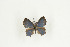  ( - BC-TB9189)  @12 [ ] Copyright (2012) Thierry Bouyer Research Collection of Thierry Bouyer