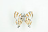  ( - BC-TB9213)  @12 [ ] Copyright (2012) Thierry Bouyer Research Collection of Thierry Bouyer