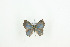  ( - BC-TB9216)  @12 [ ] Copyright (2012) Thierry Bouyer Research Collection of Thierry Bouyer