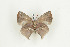  ( - BC-TB9246)  @12 [ ] Copyright (2012) Thierry Bouyer Research Collection of Thierry Bouyer