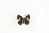  (Anthene kampala - BC-TB9300)  @13 [ ] Copyright (2012) Thierry Bouyer Research Collection of Thierry Bouyer