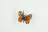  ( - BC-TB9315)  @13 [ ] Copyright (2012) Thierry Bouyer Research Collection of Thierry Bouyer
