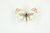  ( - BC-TB9348)  @13 [ ] Copyright (2012) Thierry Bouyer Research Collection of Thierry Bouyer